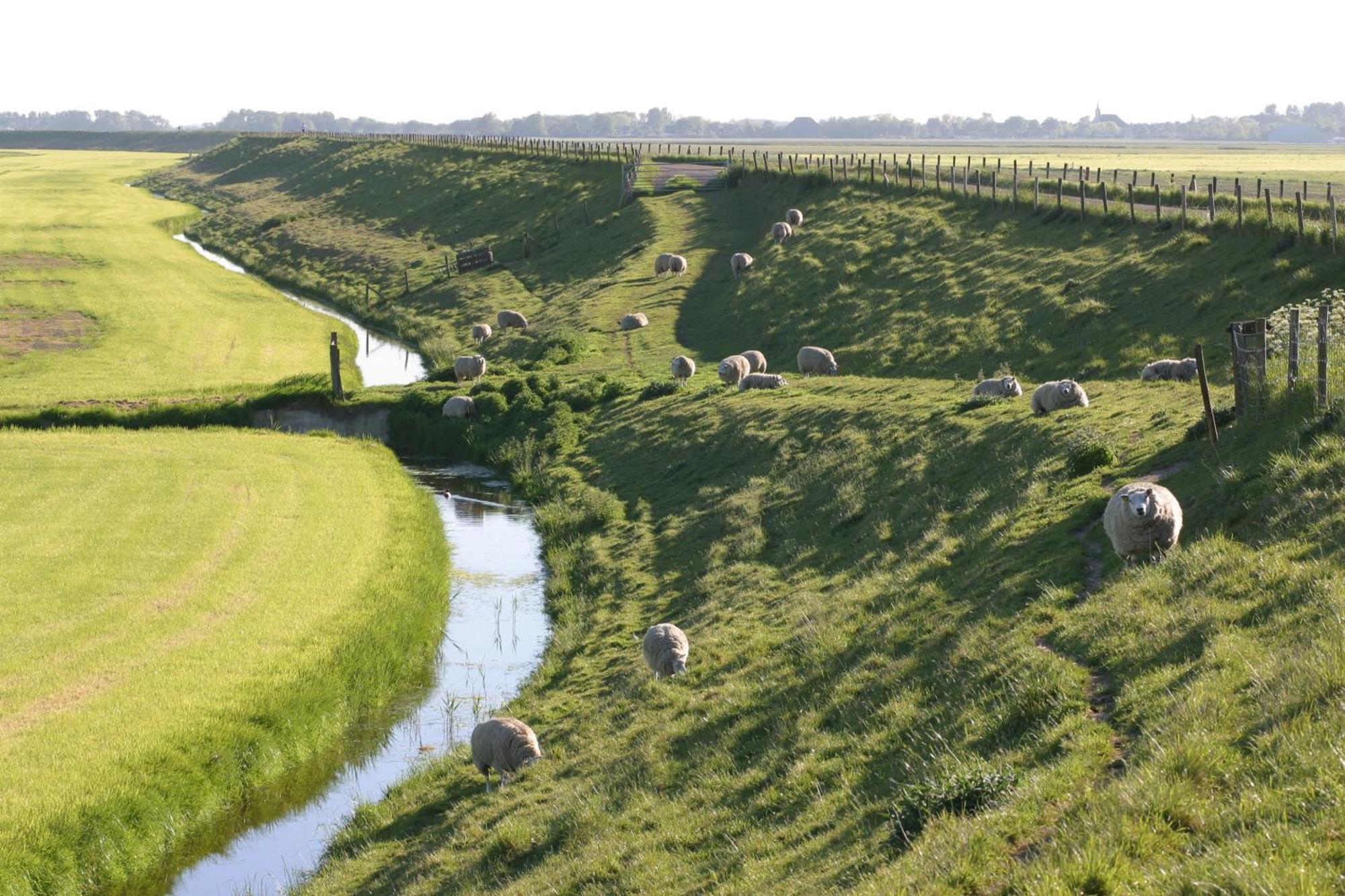 Hotelhuisjes Medemblik Вирингерверф Экстерьер фото